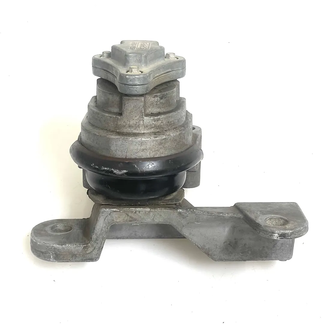Engine mounts - 2013 Ford Edge SE
