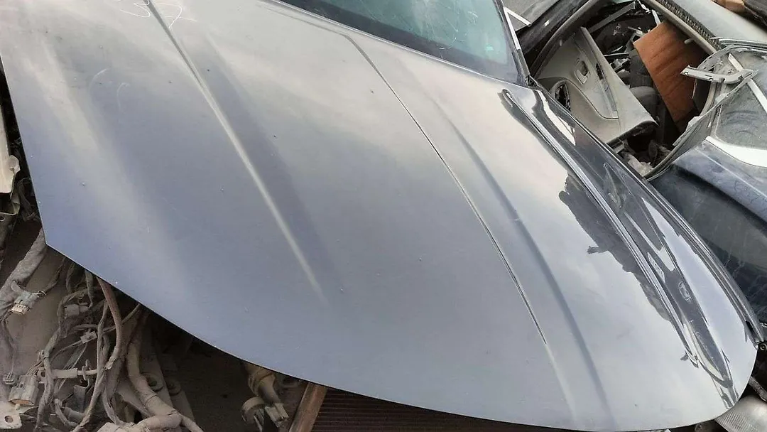 Hood/Bonnet - 2016 Dodge Charger