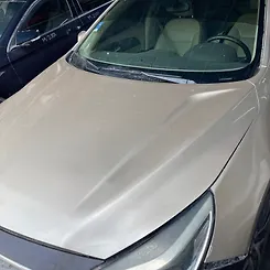 Hood/Bonnet - 2013 Chevrolet Malibu
