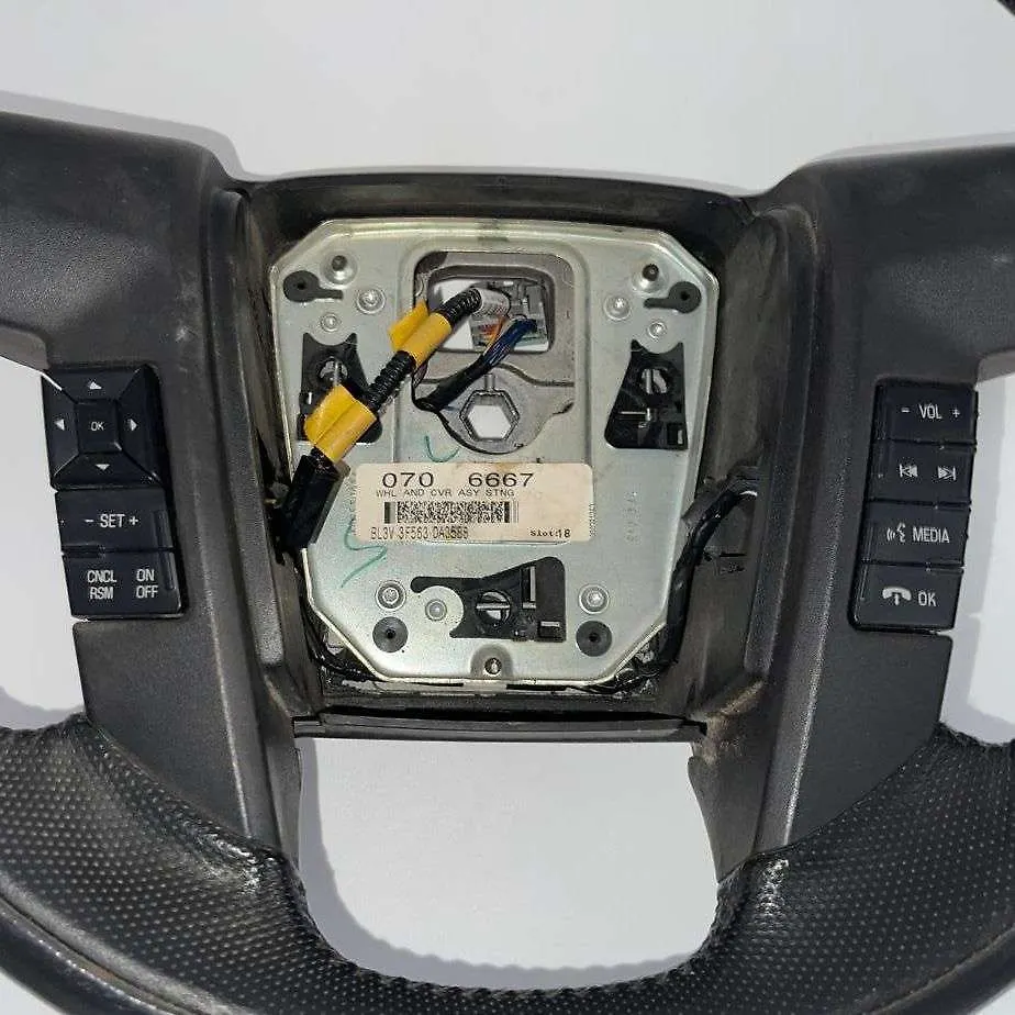 Steering Wheel - 2011 Ford F-150 RAPTOR SVT