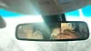 Rear view mirror - 2016 Lincoln MKX