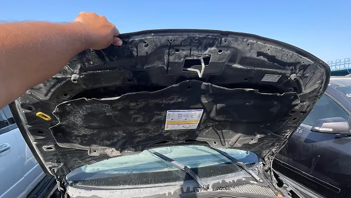 Hood/Bonnet - 2017 Dodge Neon