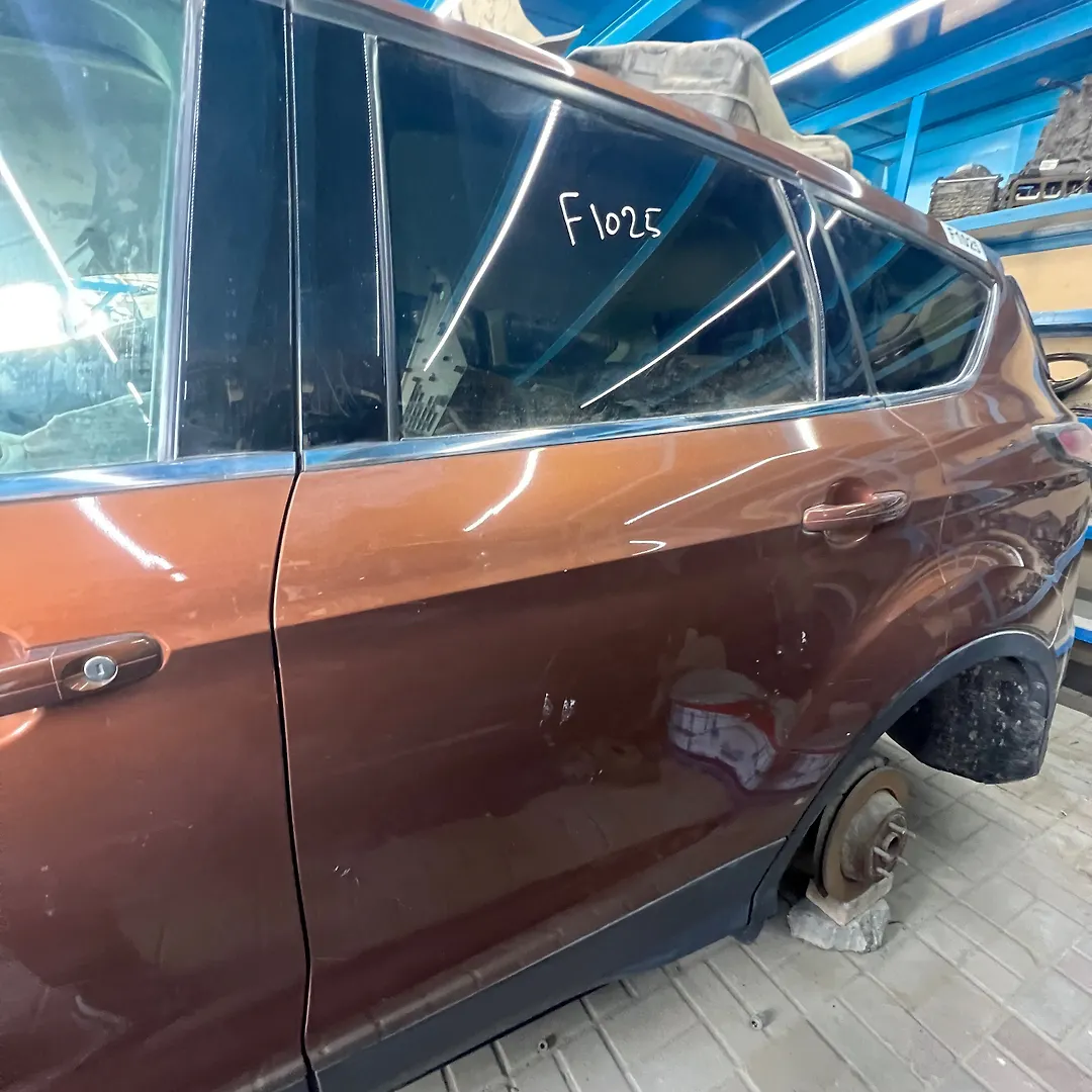 Door (LHB) - 2017 Ford Escape