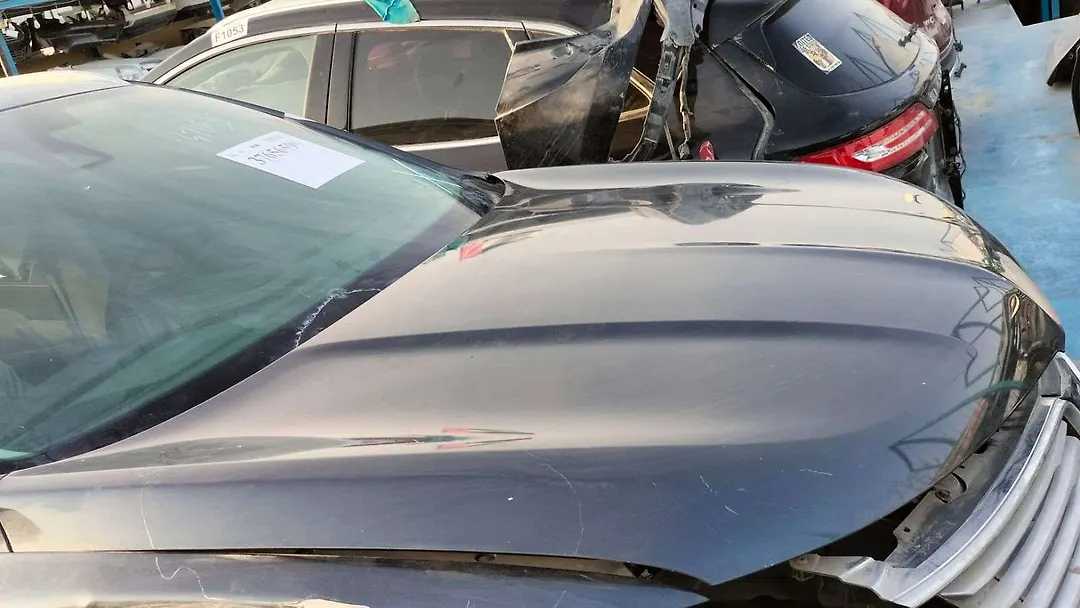 Hood/Bonnet - 2015 Lincoln MKC