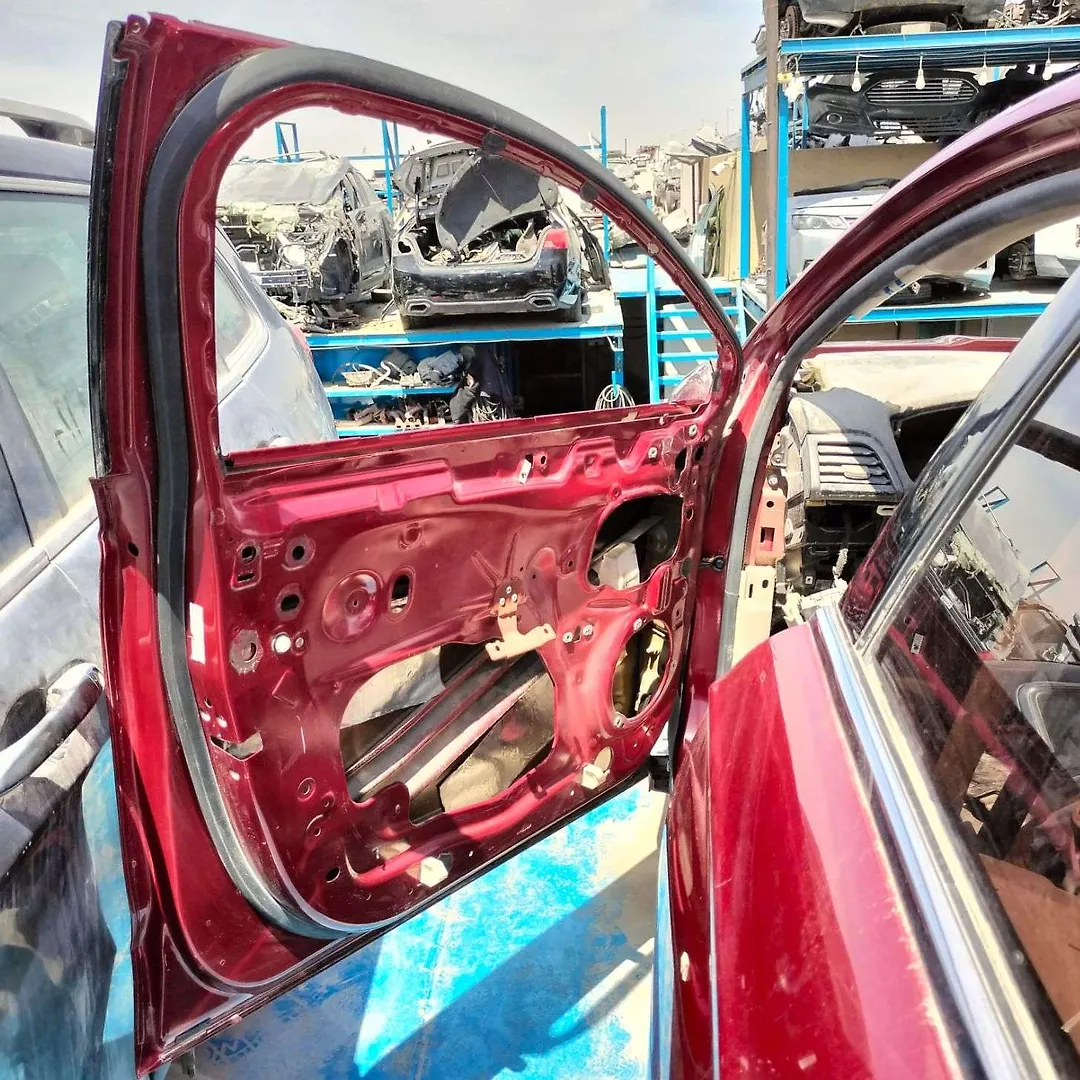 Door (LHF) - 2017 Ford Fusion
