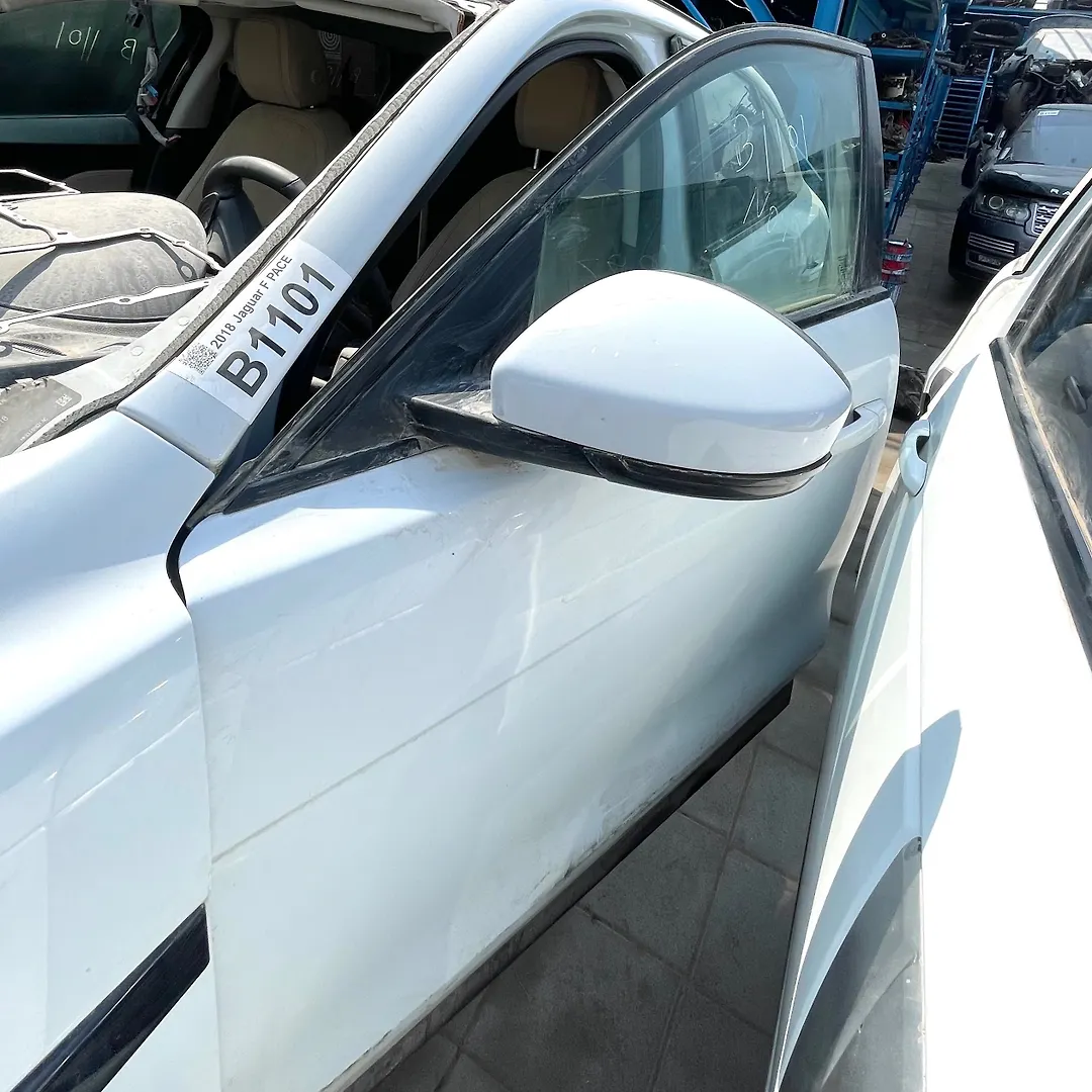 Door (LHF) - 2018 Jaguar F PACE
