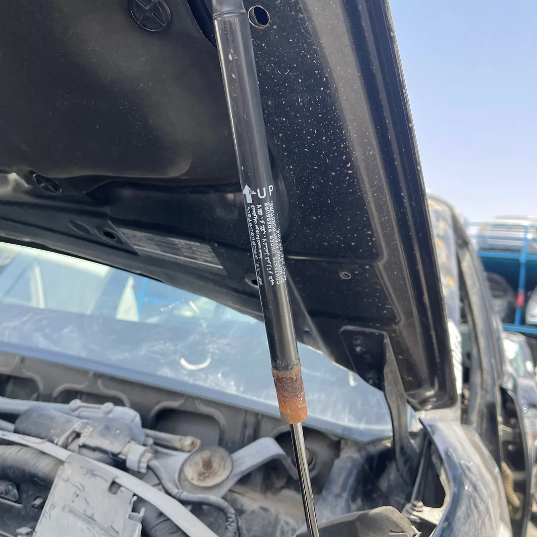 Bonnet Jumping - 2013 Infiniti QX56