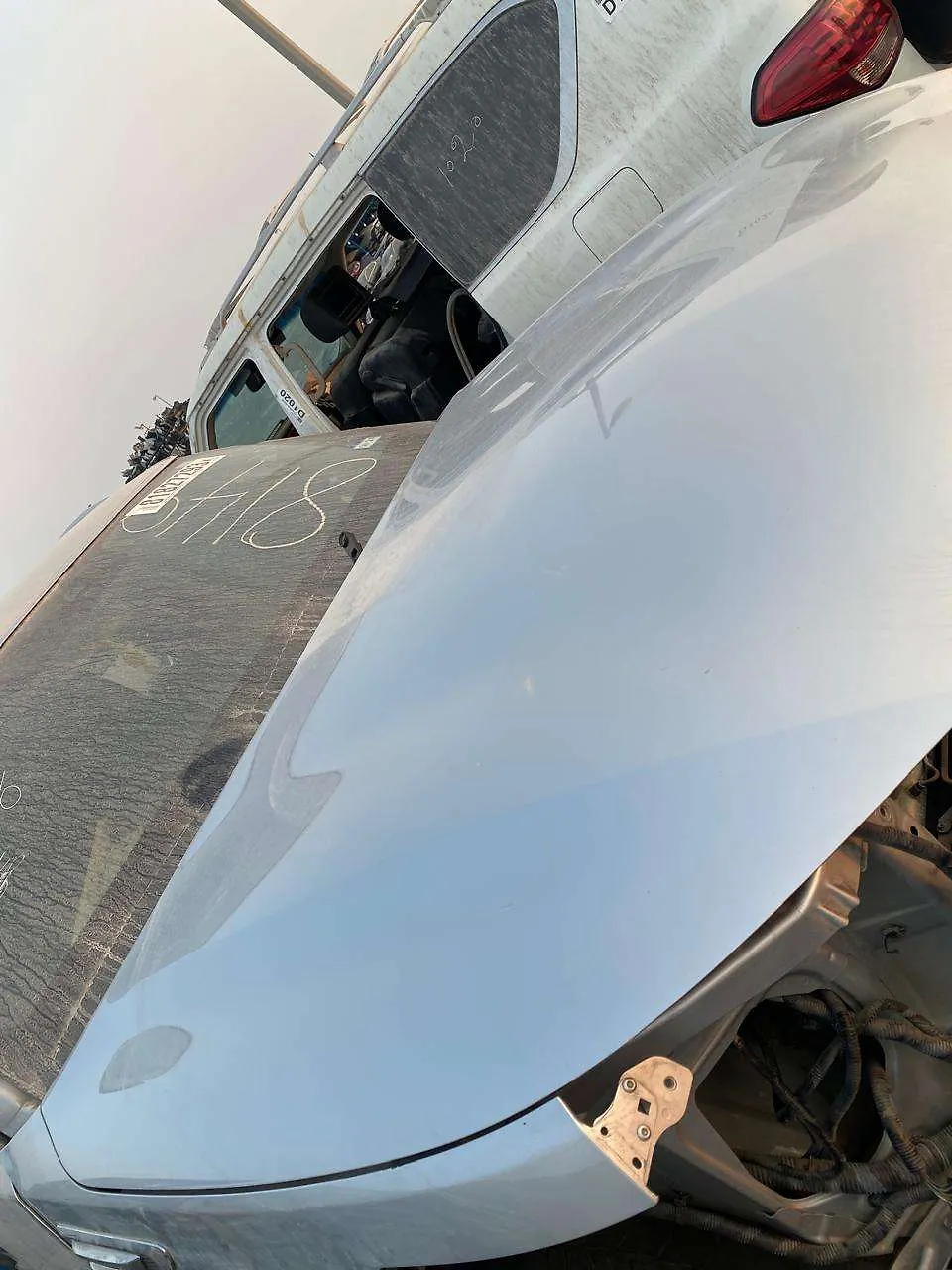 Hood/Bonnet - 2019 Infiniti QX80 Crossover