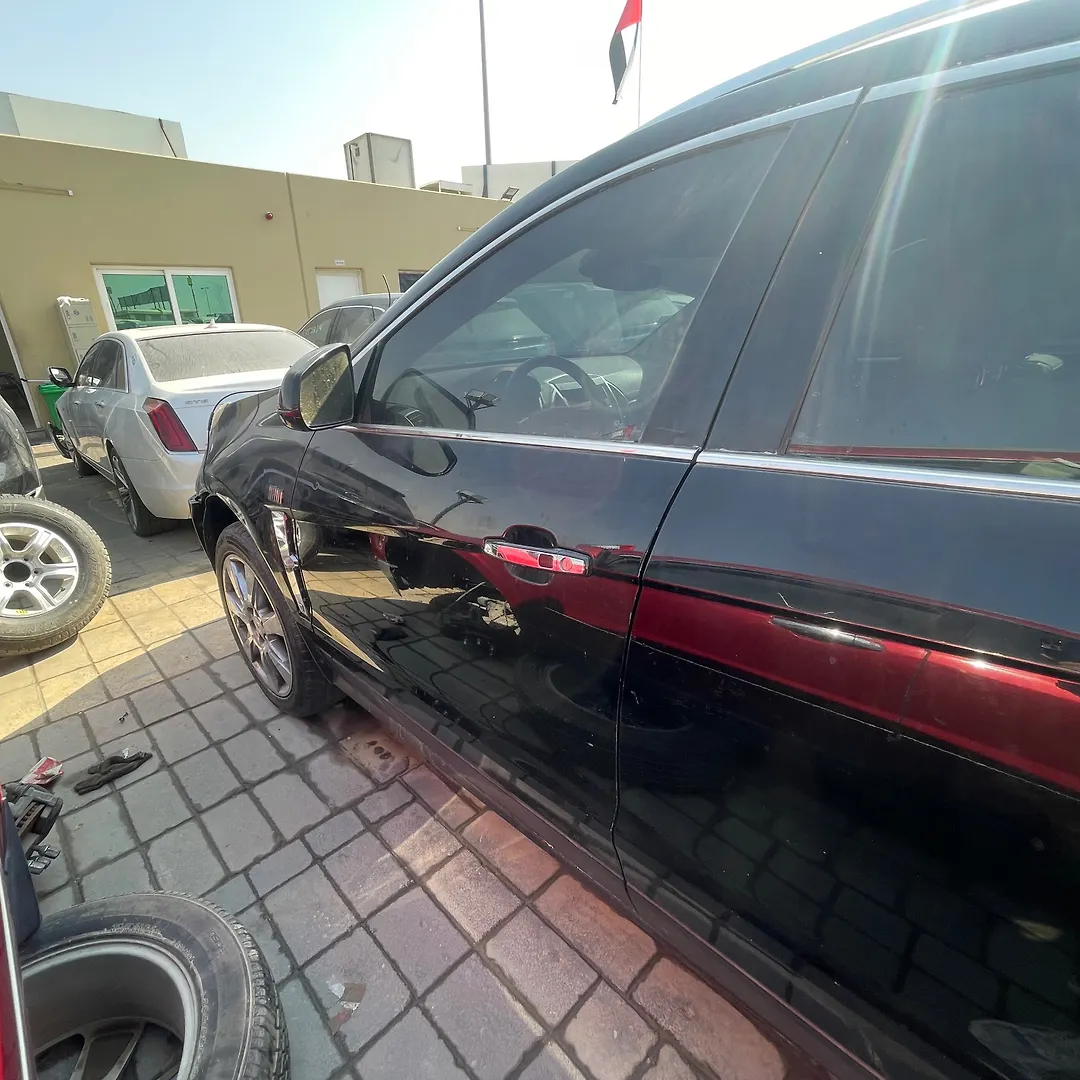 Door (LHF) - 2010 Cadillac SRX Premium