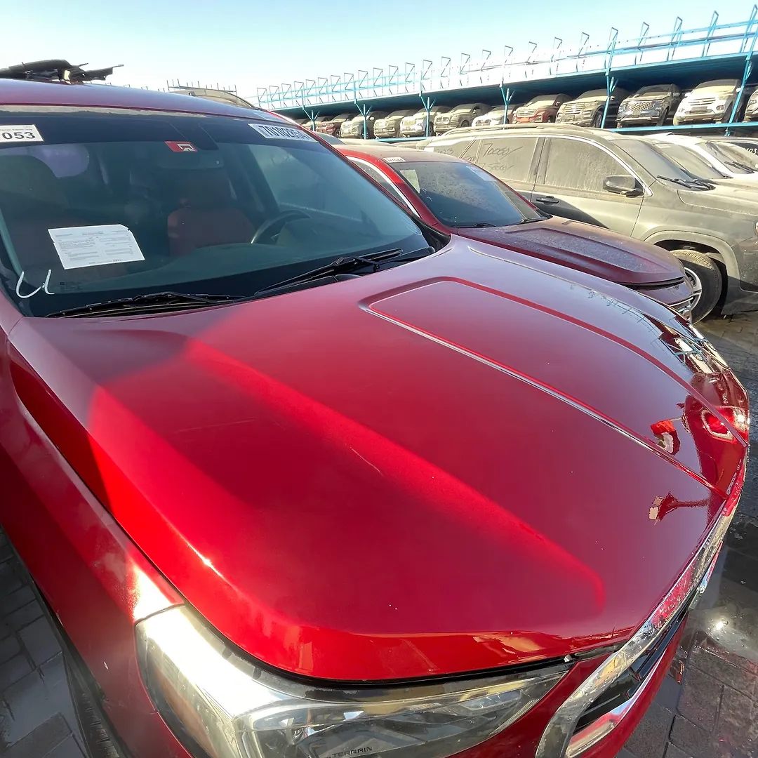 Hood/Bonnet - 2018 GMC Terrain Export Only