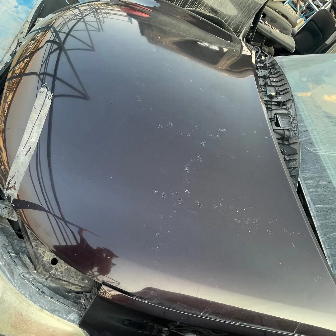 Hood/Bonnet - 2012 Infiniti QX56