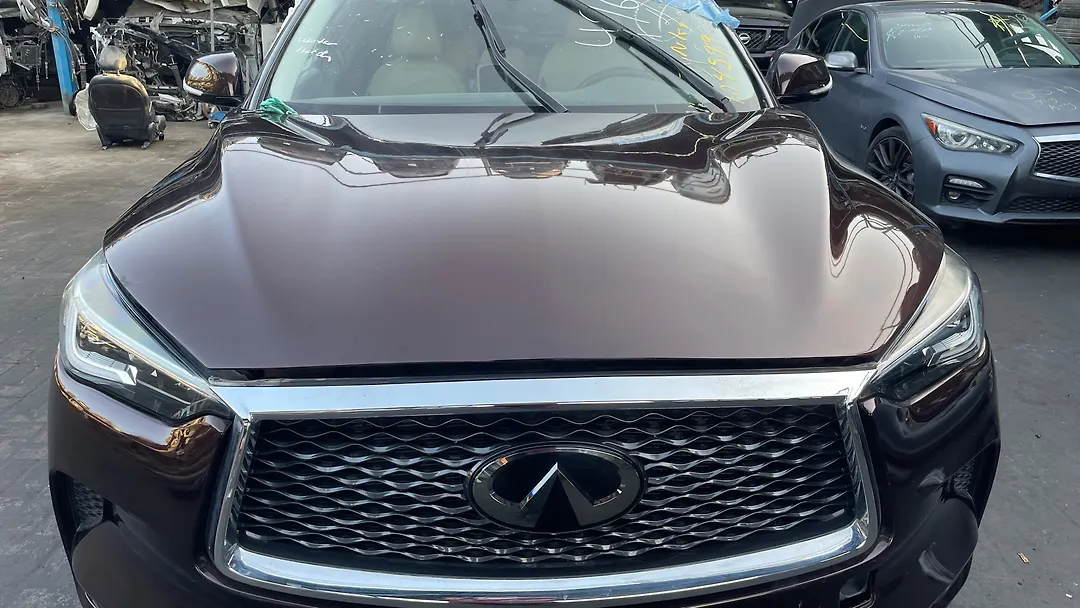 Hood/Bonnet - 2020 Infiniti QX50