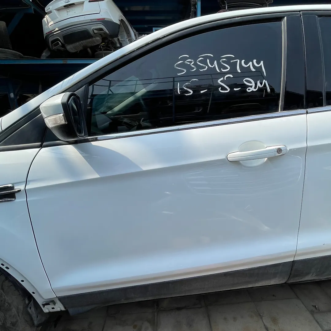 Door (LHF) - 2019 Ford Escape