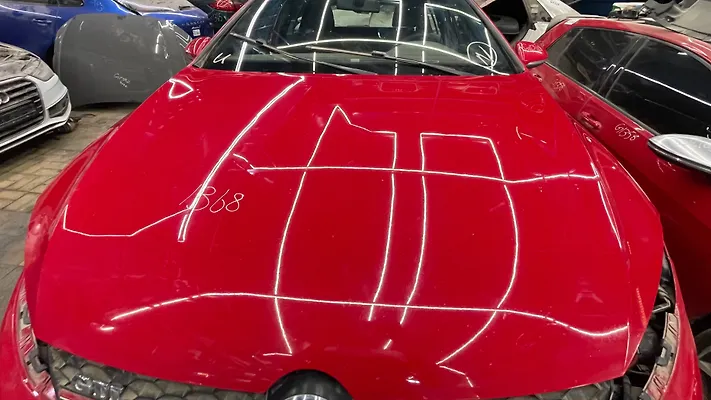 Hood/Bonnet - 2016 Volkswagen Golf 