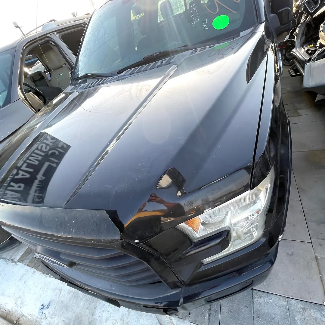 Hood/Bonnet - 2016 Ford F-150