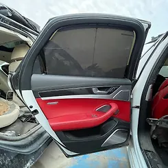 Door (LHB) - 2014 Audi S8