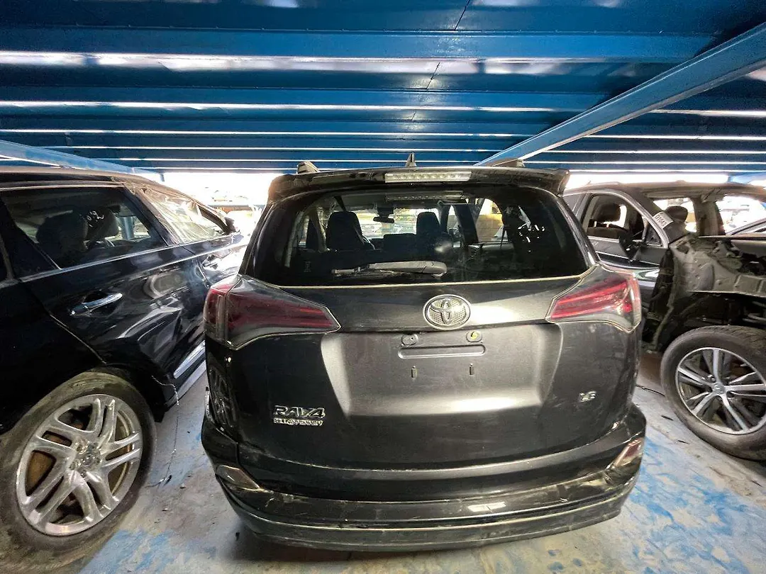 Trunk/hatch/tailgate - 2018 Toyota RAV4 2.5