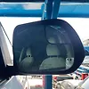 Side Mirror (RH) - 2017 Toyota Sienna LE