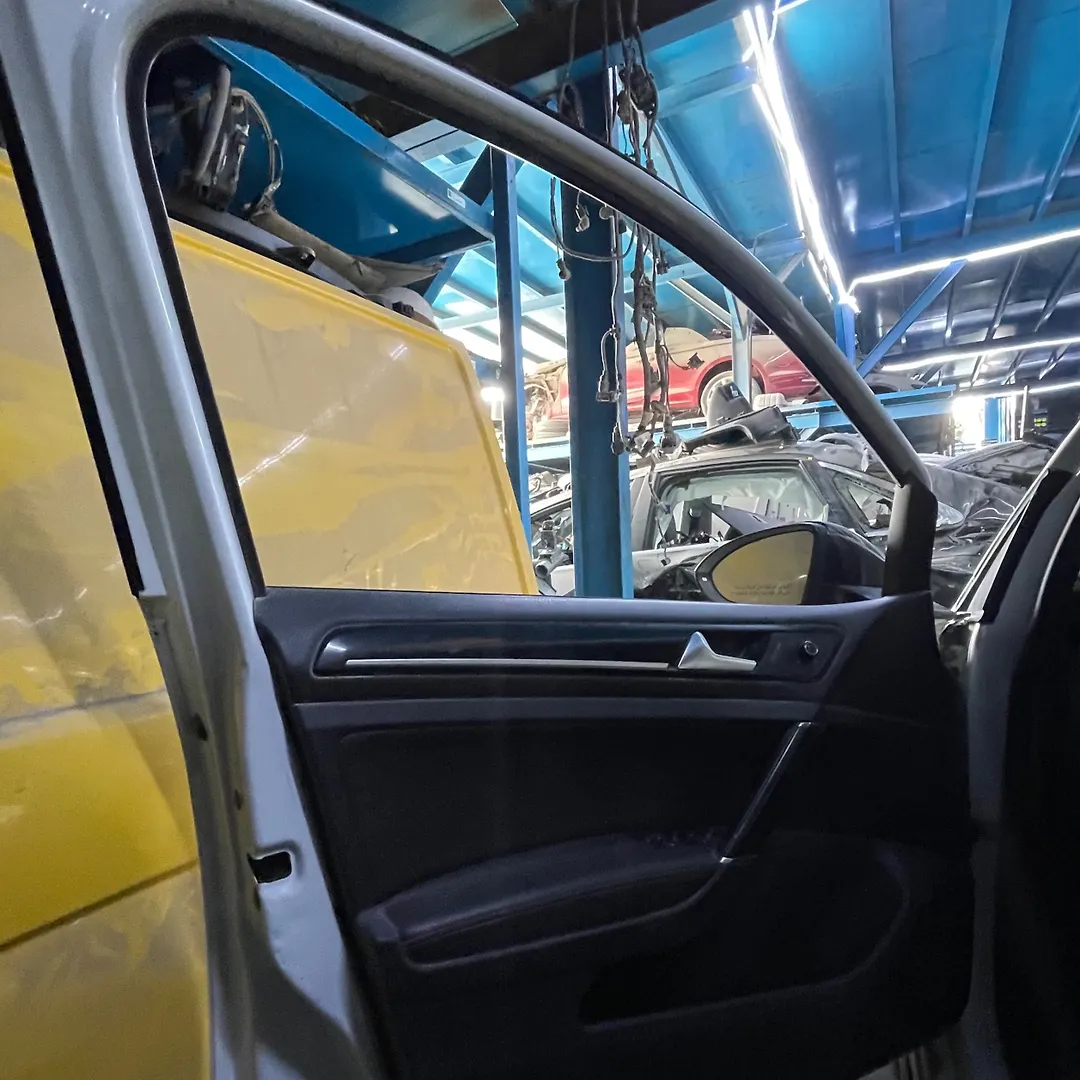 Door (LHF) - 2015 Volkswagen Golf