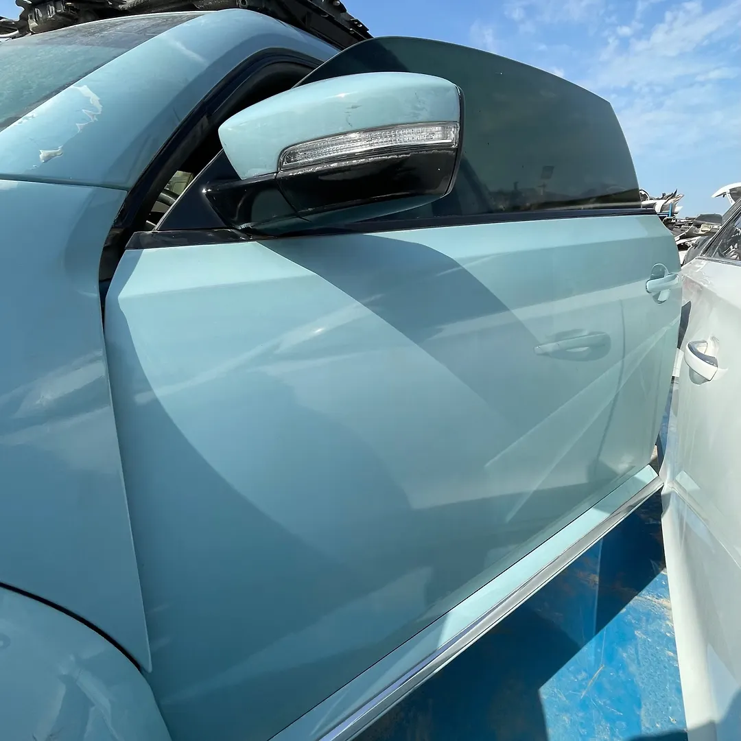 Door (LHF) - 2014 Volkswagen Beetle