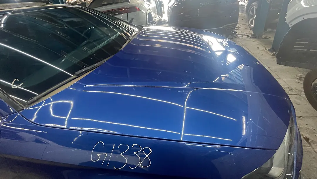 Hood/Bonnet - 2016 Audi S3