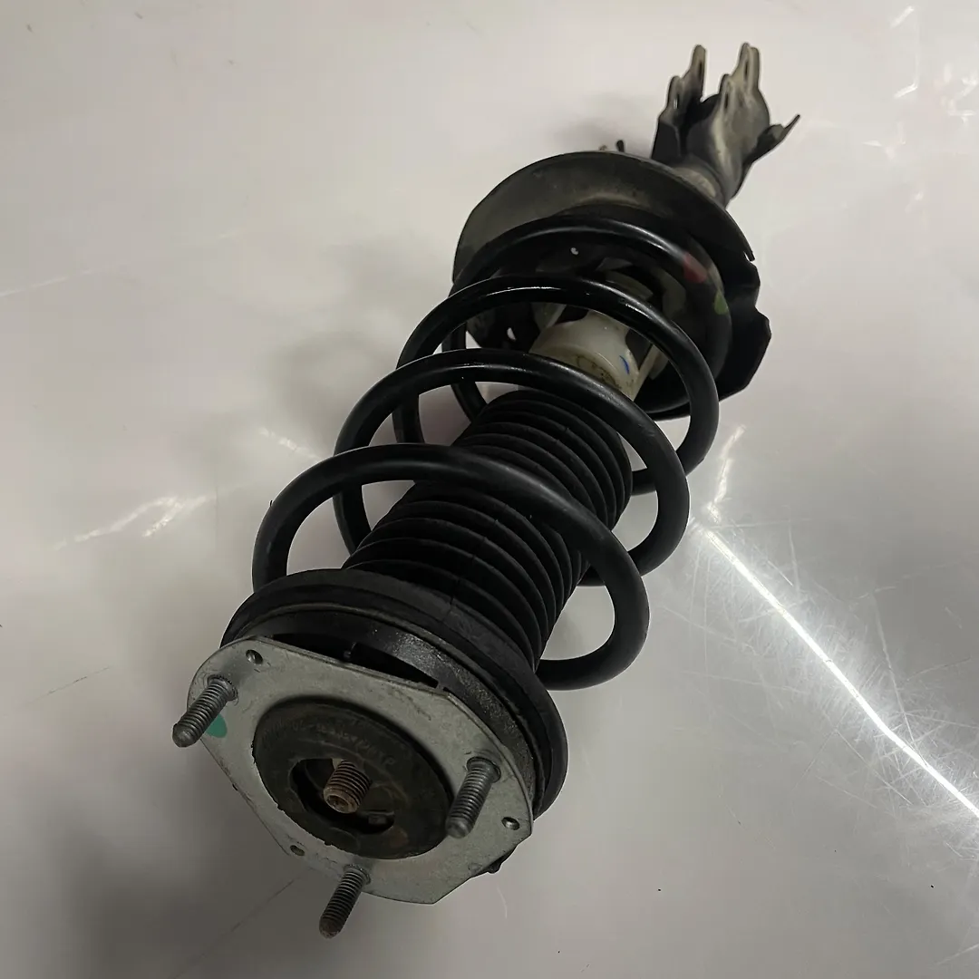 Shock Absorber (LHF) - 2012 Ford Fiesta