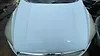Hood/Bonnet - 2019 Ford Escape