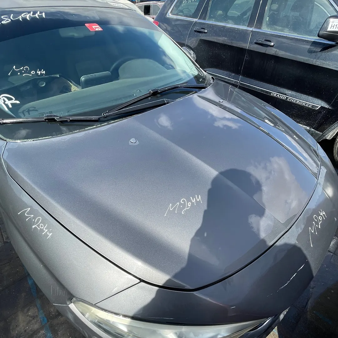 Hood/Bonnet - 2017 Dodge Neon