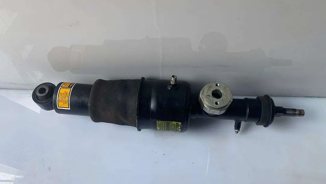 Shock Absorber (Hydraulic) - 2011 Infiniti QX56
