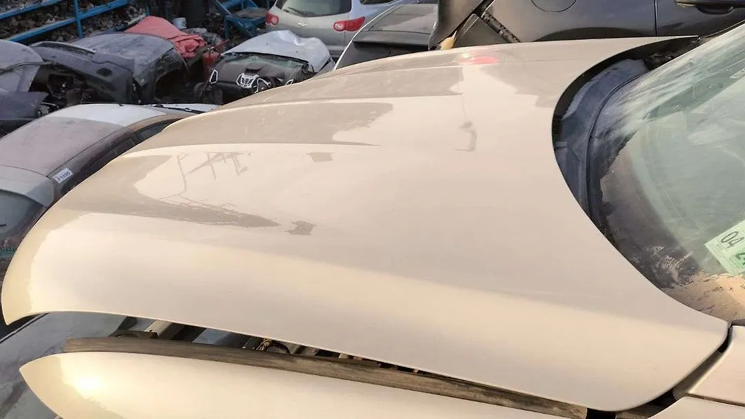Hood/Bonnet - 2016 Lincoln MKX