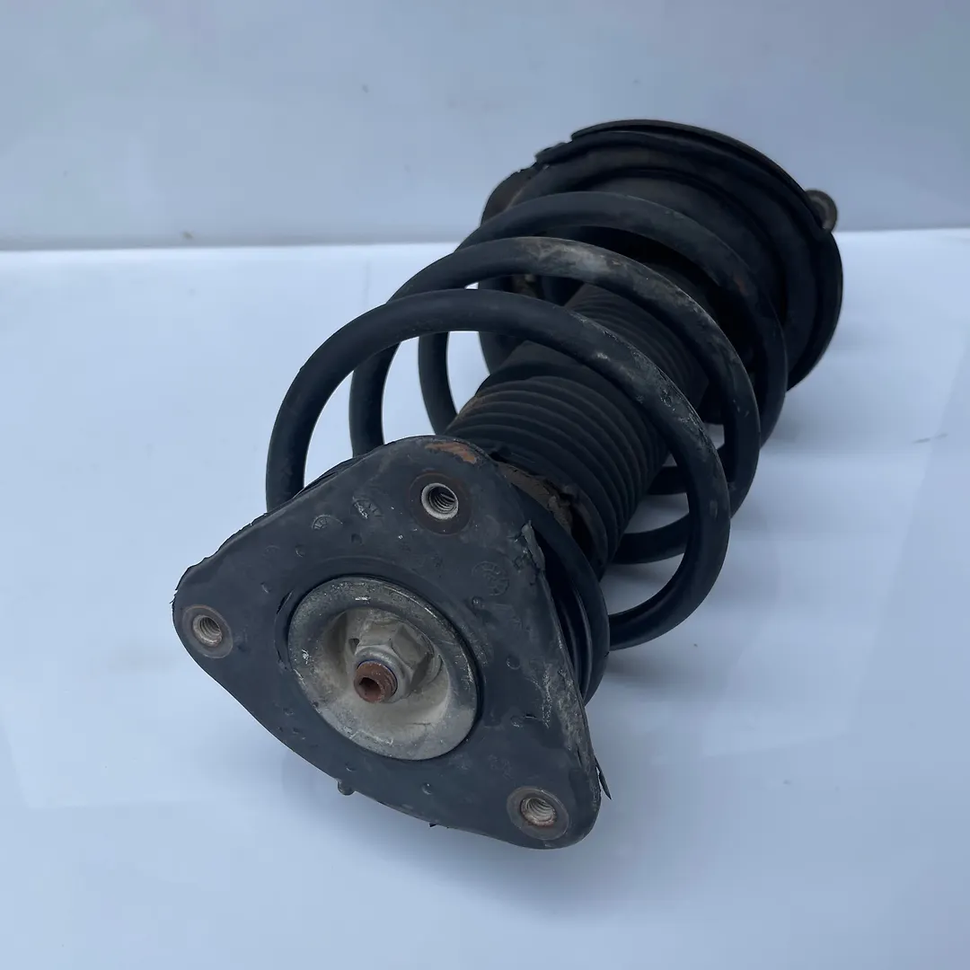 Shock Absorber (LHF) - 2014 Ford Focus