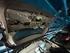 Trunk/hatch/tailgate - 2013 Infiniti QX56