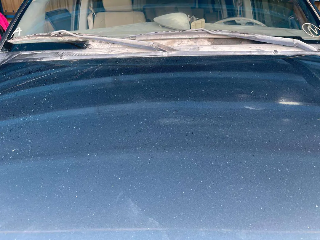 Hood/Bonnet - 2010 Nissan Armada
