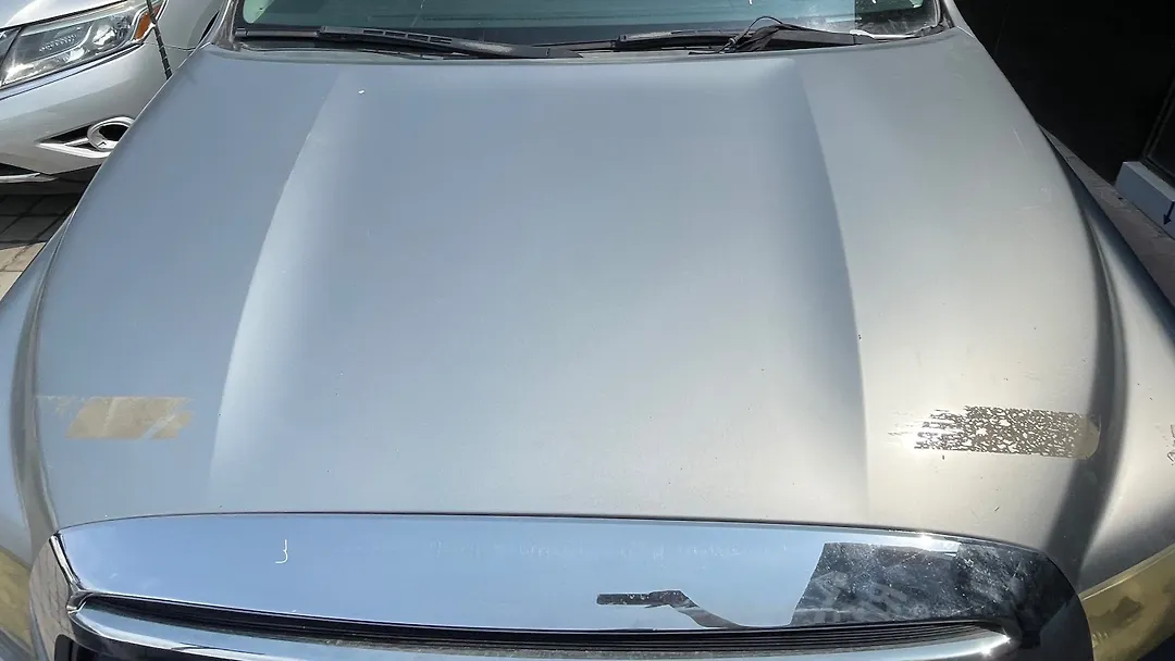 Hood/Bonnet - 2010 Toyota Tundra