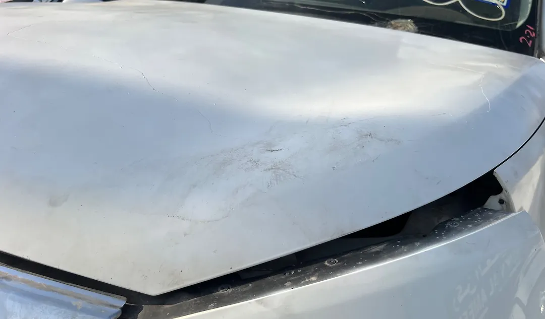 Hood/Bonnet - 2013 Infiniti QX56