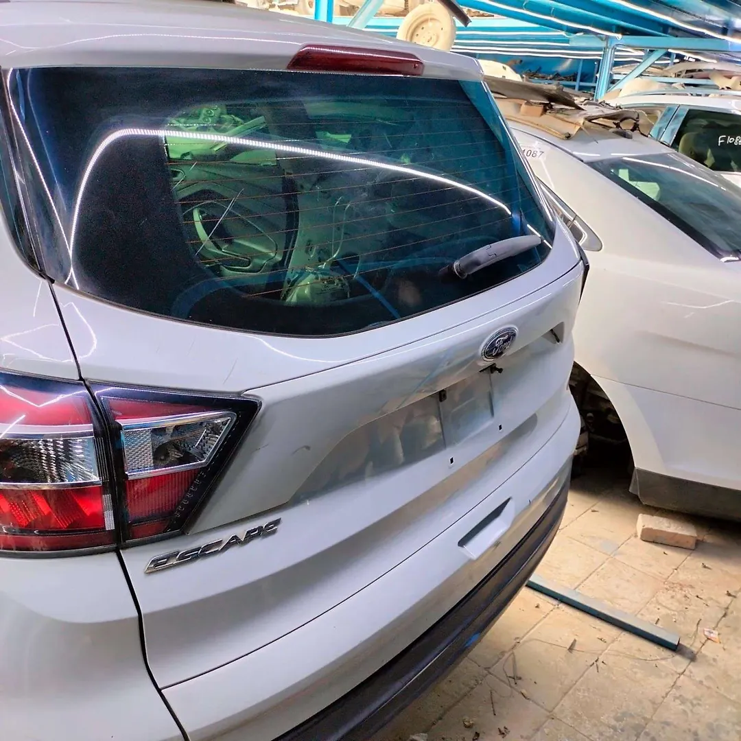 Tailgate - 2017 Ford Escape