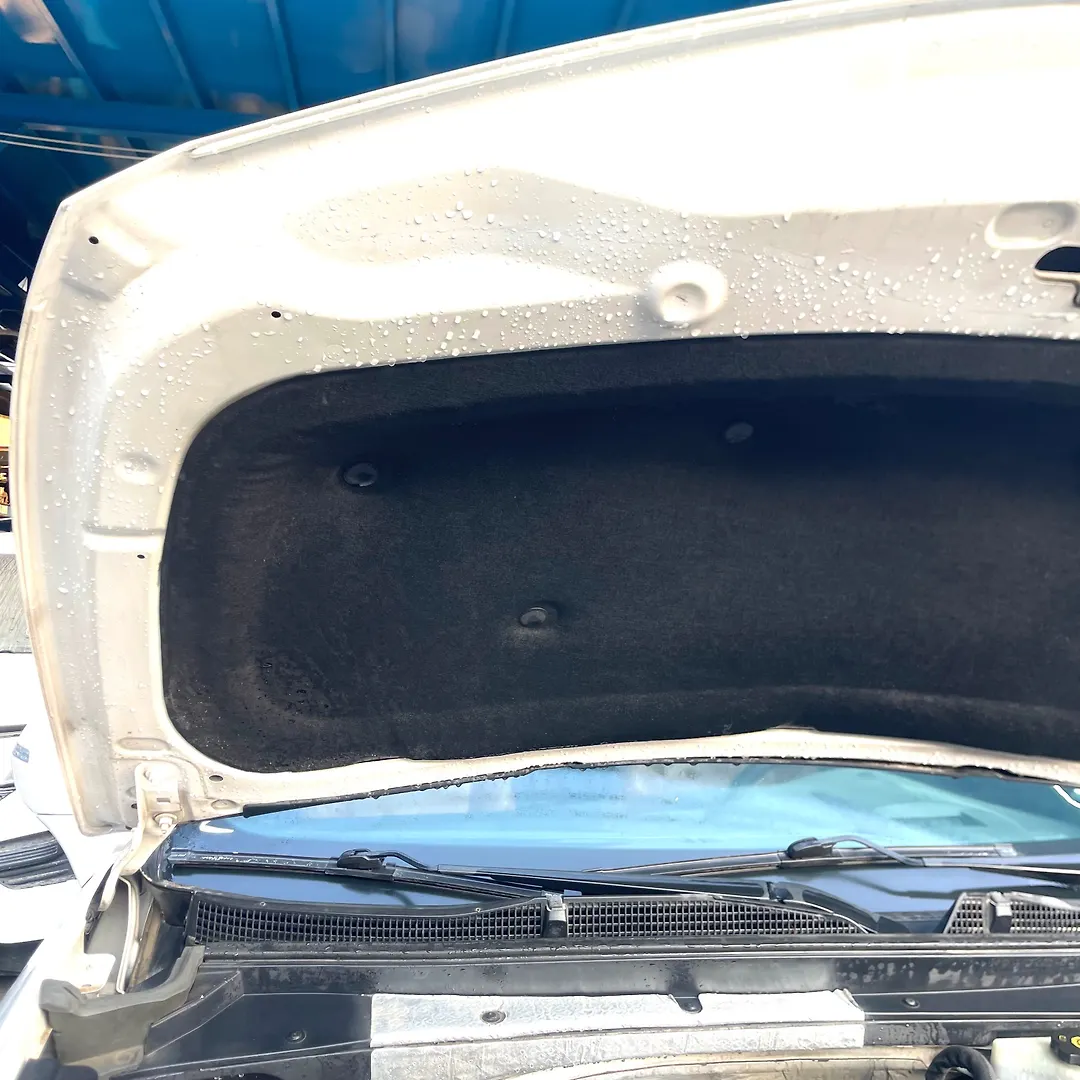 Hood/Bonnet - 2019 Cadillac XT4 2.0T