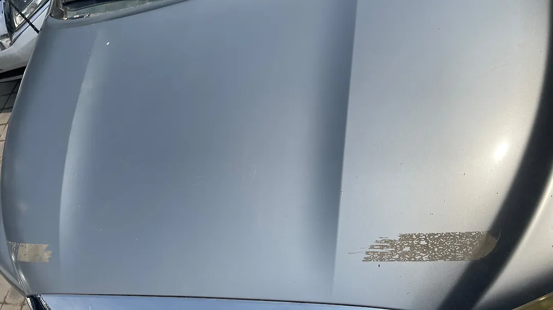 Hood/Bonnet - 2010 Toyota Tundra