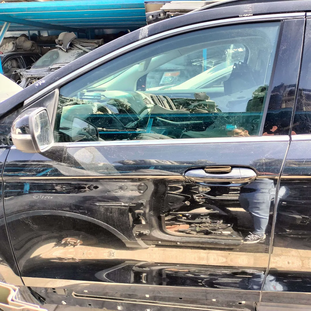 Door (LHF) - 2015 Ford Edge