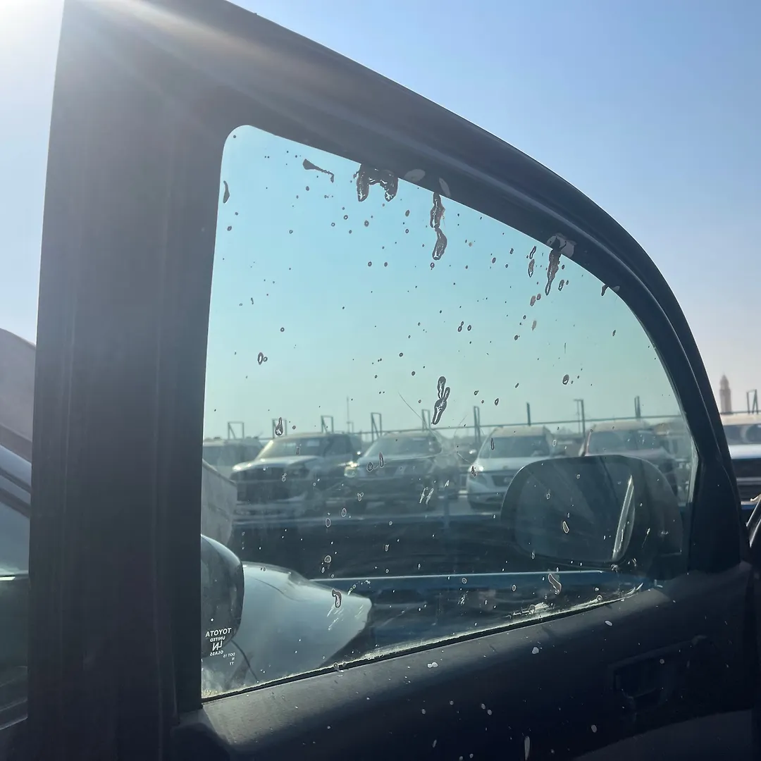 Door (LHF) - 2014 Toyota Tacoma Delux Grade