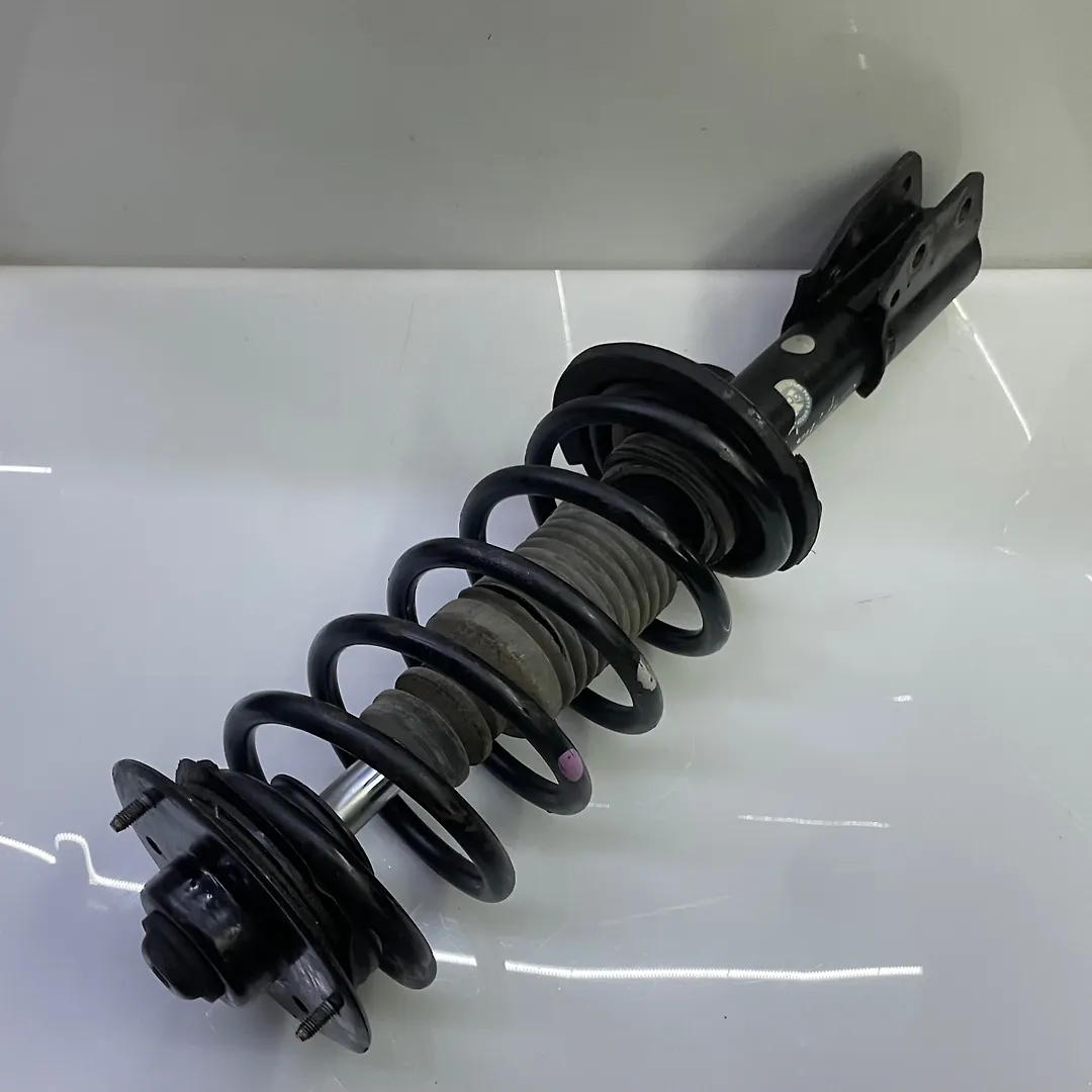 Shock Absorber (LHF) - 2009 Chevrolet Captiva