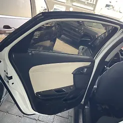 Door (LHB) - 2014 Chevrolet Caprice