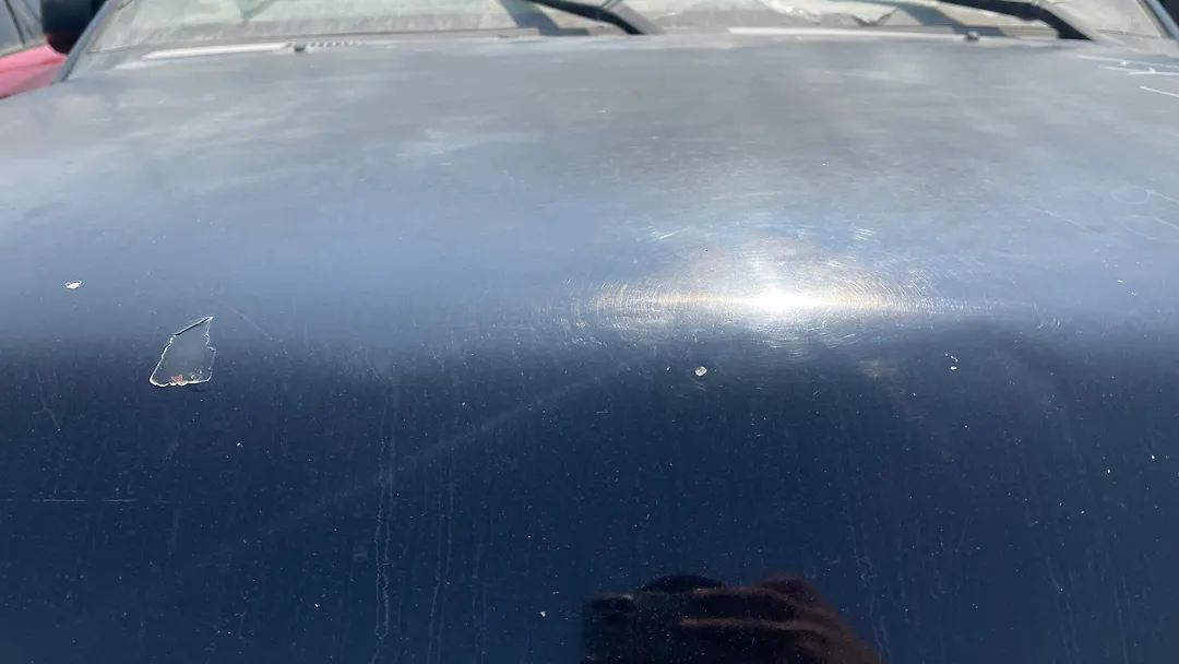 Hood/Bonnet - 2013 Nissan Armada