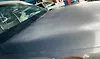 Hood/Bonnet - 2013 Infiniti QX56