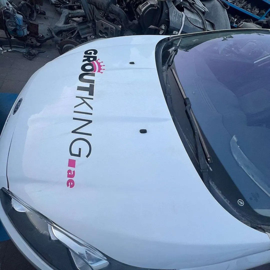 Hood/Bonnet - 2015 Ford Fiesta