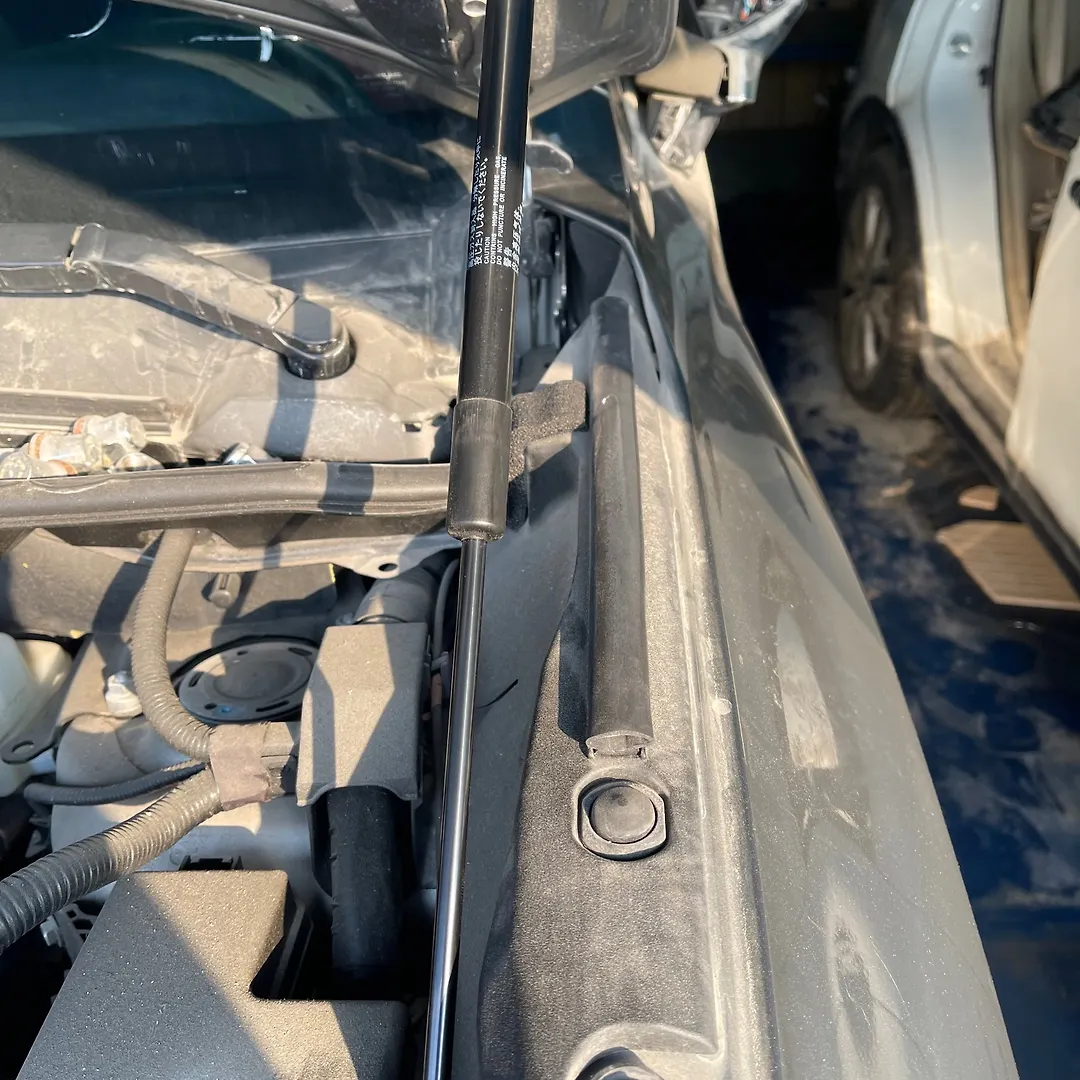 Bonnet Jumping - 2021 Lexus NX F Sport Comfort