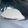 Side Mirror (RH) - 2023 Chevrolet Groove