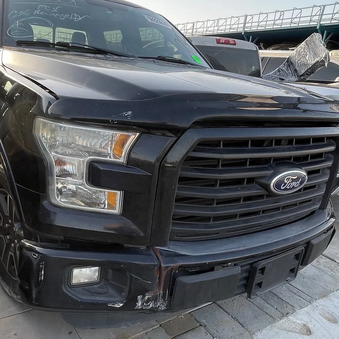 Hood/Bonnet - 2016 Ford F-150