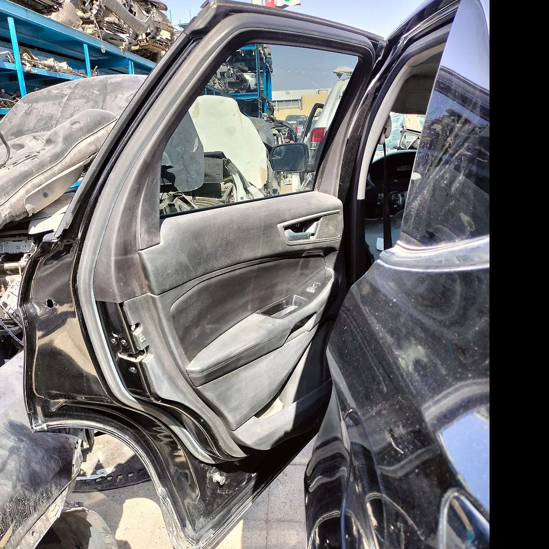 Door (LHB) - 2015 Ford Edge