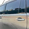 Door (LHB) - 2014 Infiniti QX80 SUV